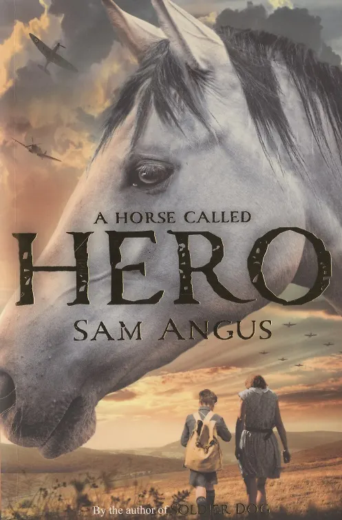 Книга A Horse Called Hero () — 1