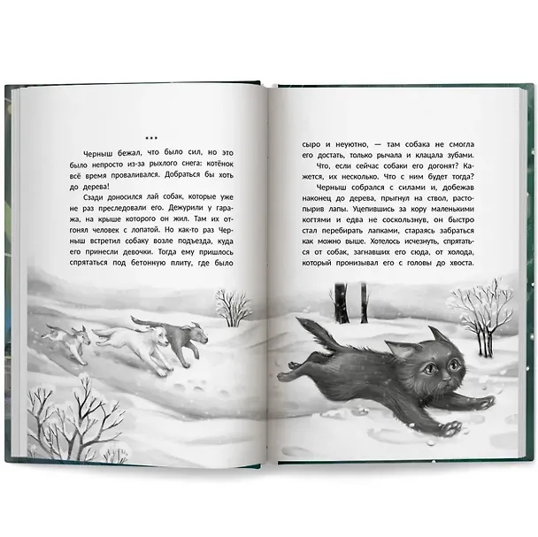 Книга Счастье за дверью (Оксана Мухортова) — 8