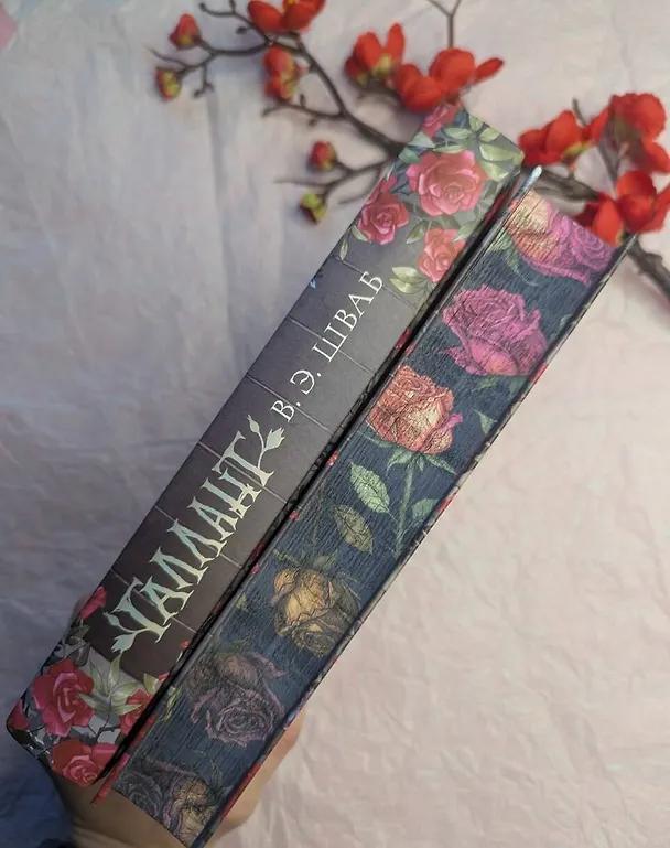 Книга Галлант (Виктория Шваб) — 13