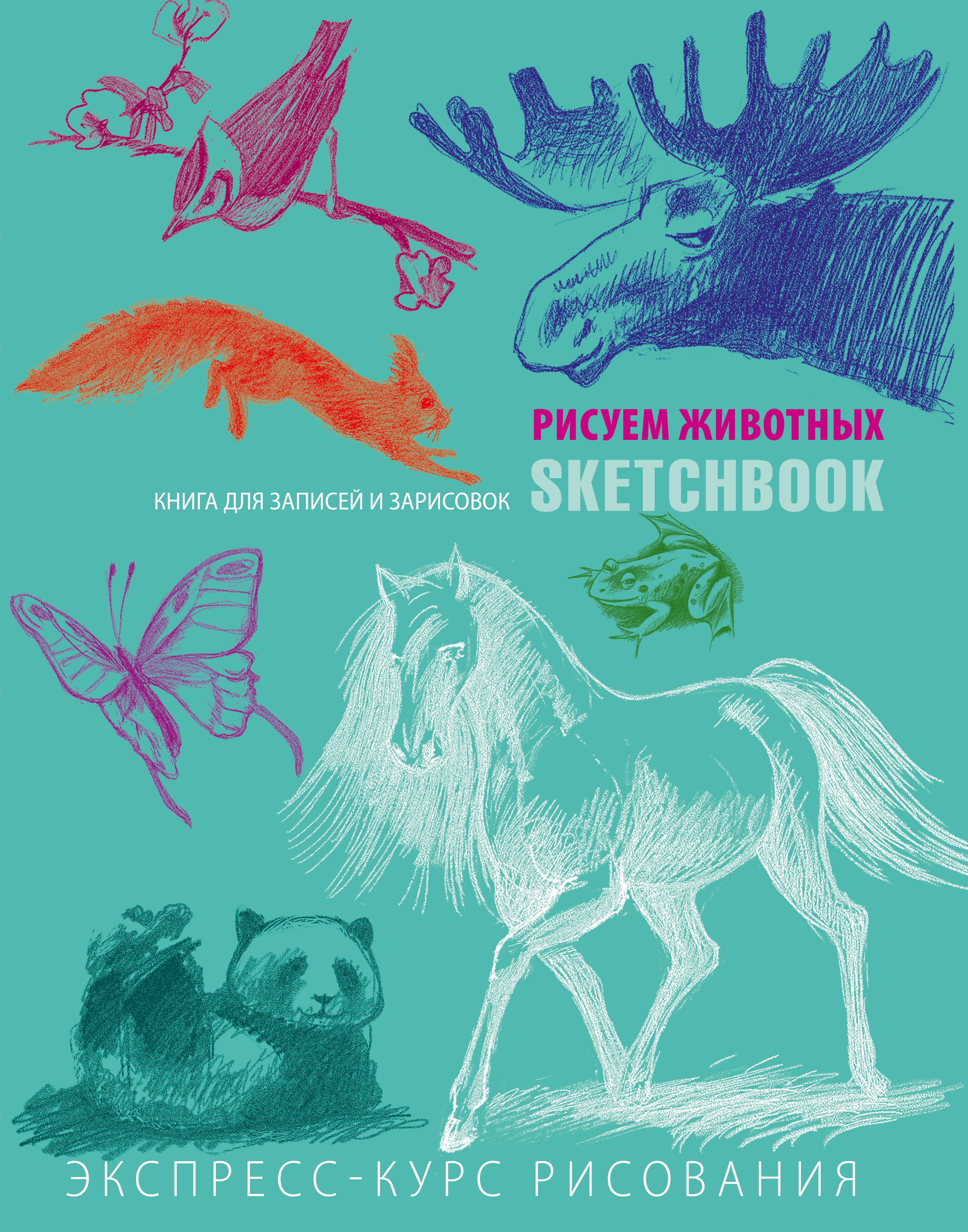 SketchBook: Визуальный экспресс-курс по рисованию Животные (мята) (Эксмо)