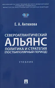 Североатлантический альянс. Политика и стратегия (постбиполярный период)