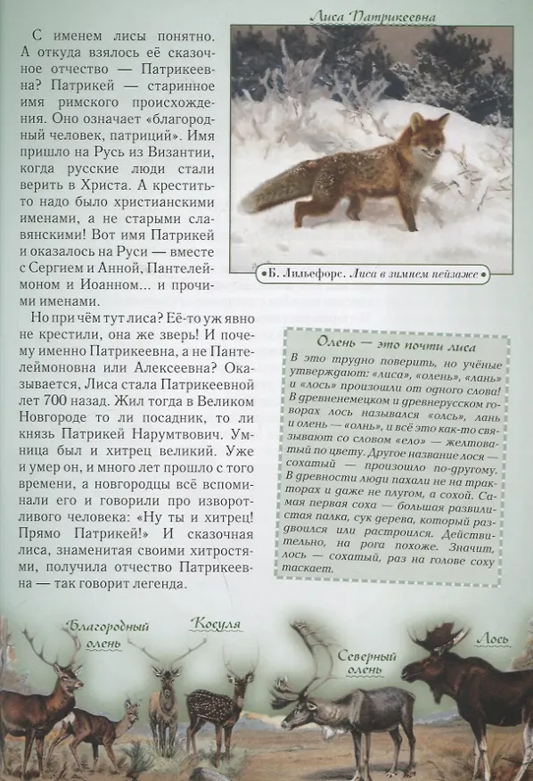 Книга Откуда берутся слова, или Занимательная этимология (Светлана Лаврова) — 5