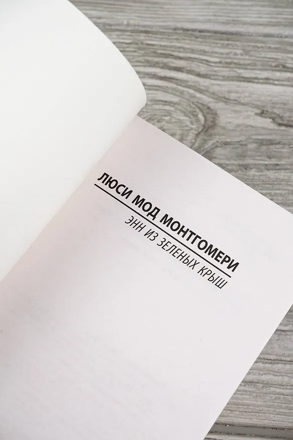 Книга Энн из Зеленых Крыш (Люси Мод Монтгомери) — 11