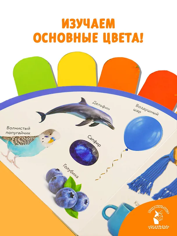 Книга Цвета () — 5