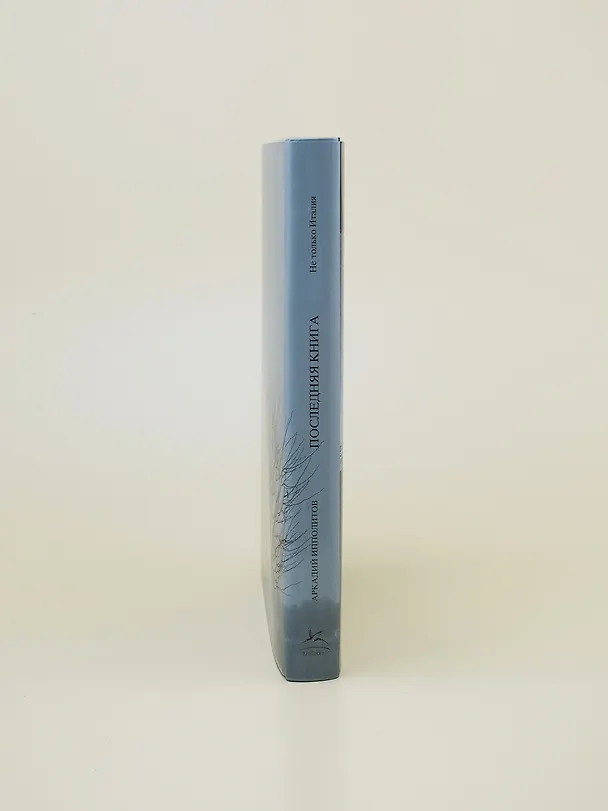 Книга Ипполитов. Последняя книга. Не только Италия (Аркадий Ипполитов) — 12