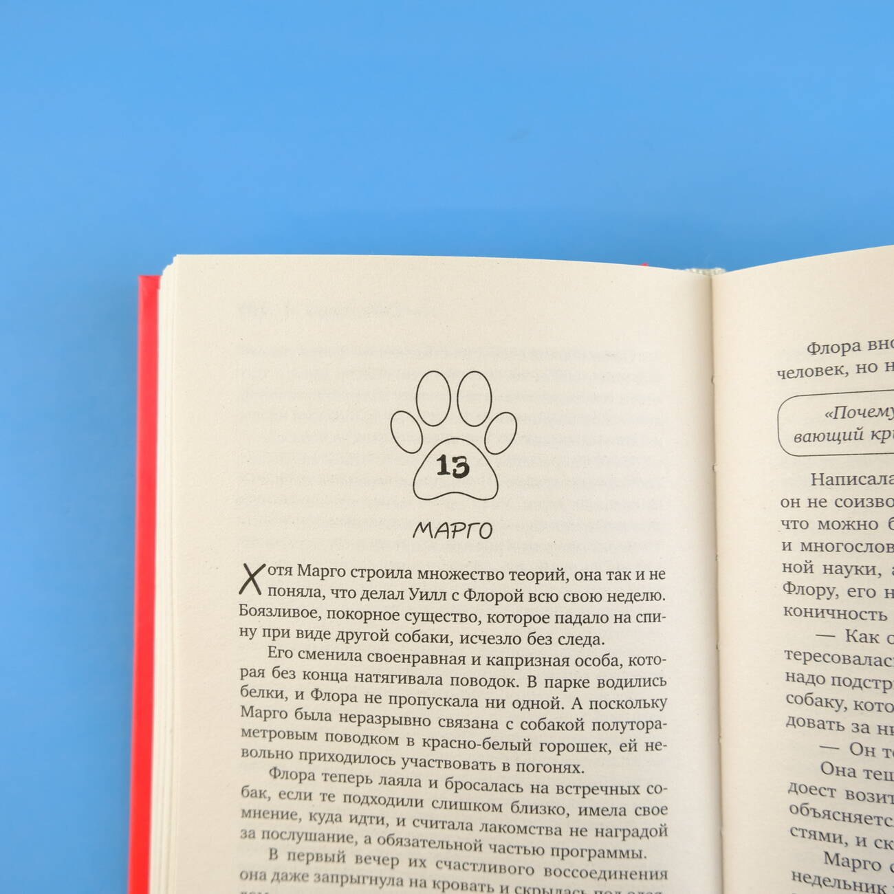 Изображение бумажной книги