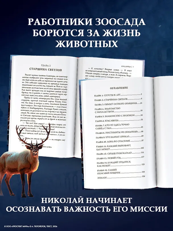 Книга Красавица () — 7
