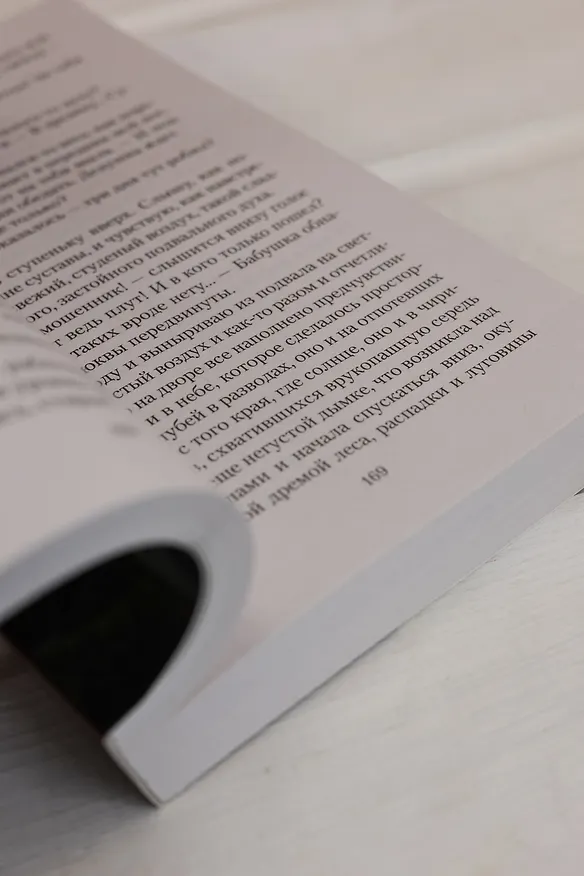 Книга Васюткино озеро (Виктор Астафьев) — 13