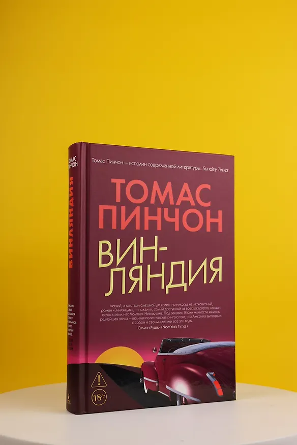 Книга Винляндия (Томас Пинчон) — 11