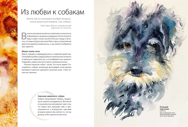 Книга Животные акварелью от Джин Хэйнс. Медитативное рисование для контакта с собой и природой (Джин Хэйнс) — 11