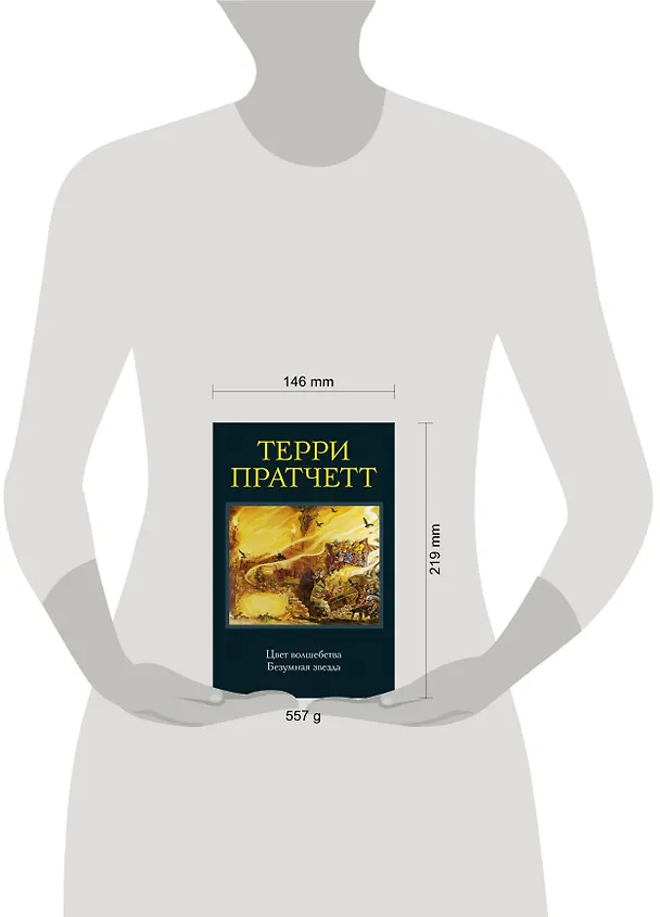 Книга Цвет волшебства. Безумная звезда (Терри Пратчетт) — 5