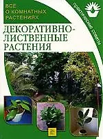 Декоративнолиственные растения: Все о комнатных растениях
