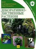 Декоративнолиственные растения: Все о комнатных растениях — 2122718 — 1