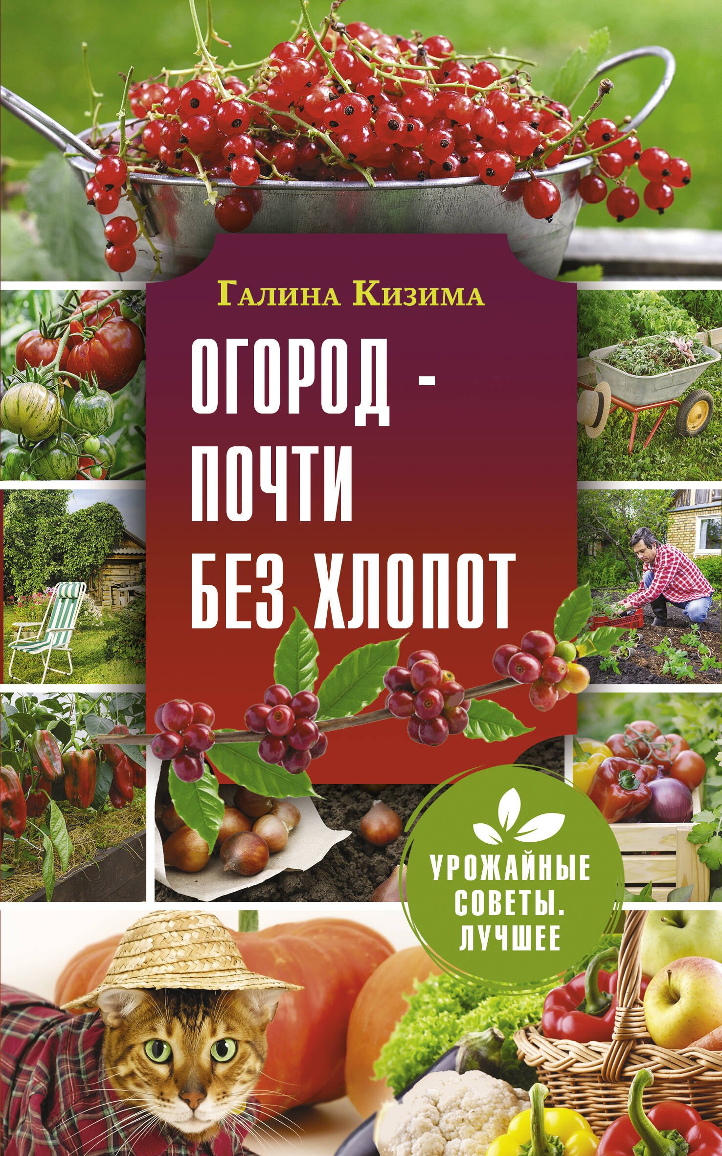 

Огород - почти без хлопот