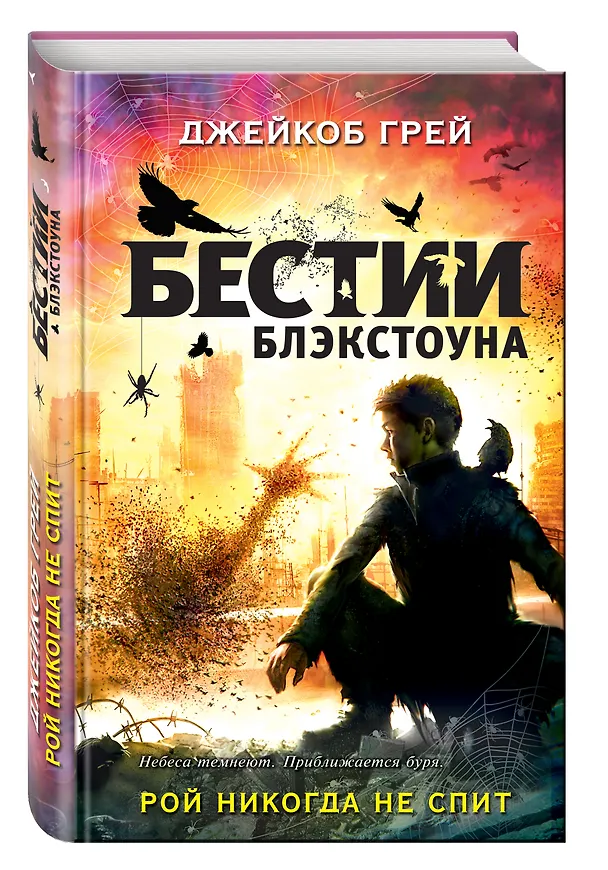 Книга Рой никогда не спит (Джейкоб Грей) — 4