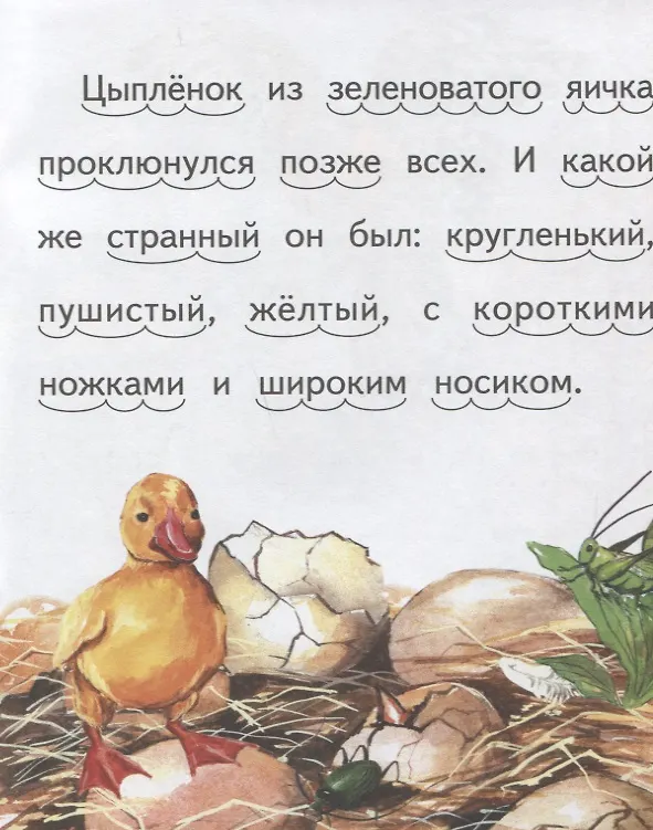 Книга Чужое яичко () — 5