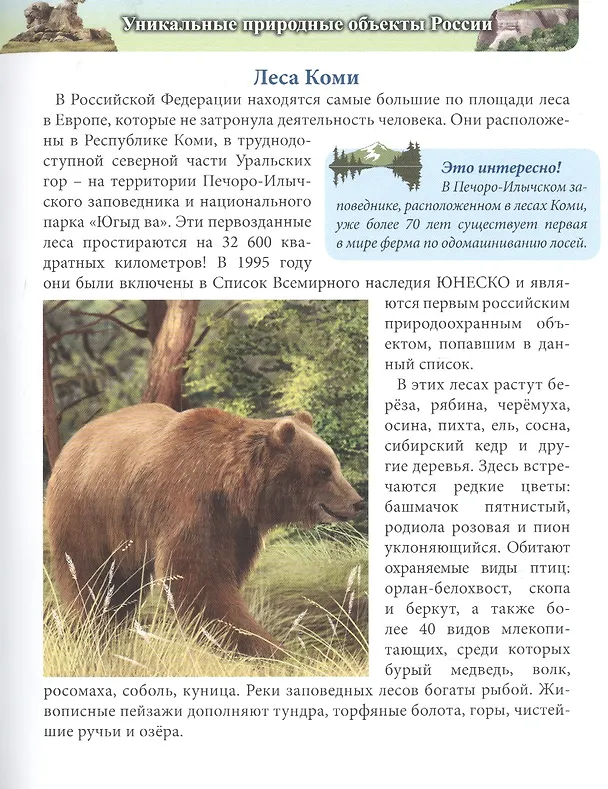 Книга ЭНЦИКЛОПЕДИЯ. ХОЧУ ЗНАТЬ. ДОСТОПРИМЕЧАТЕЛЬНОСТИ РОССИИ () — 3