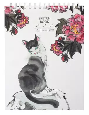 Скетчбук А4 60л "SKETCHBOOK. Элегантность" 100г/м2, тв. обложка, евроспираль, мат.ламинация — 3040086 — 1