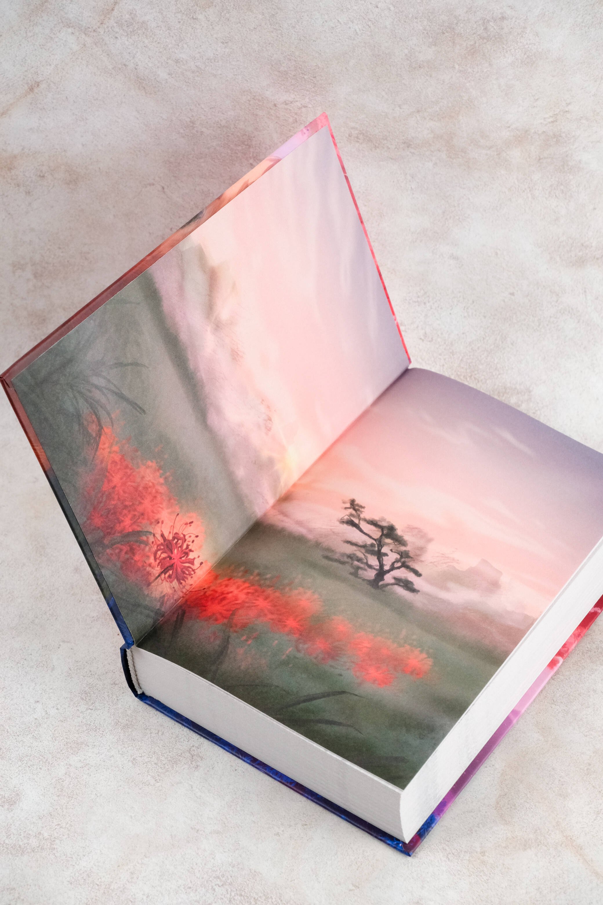 Изображение бумажной книги