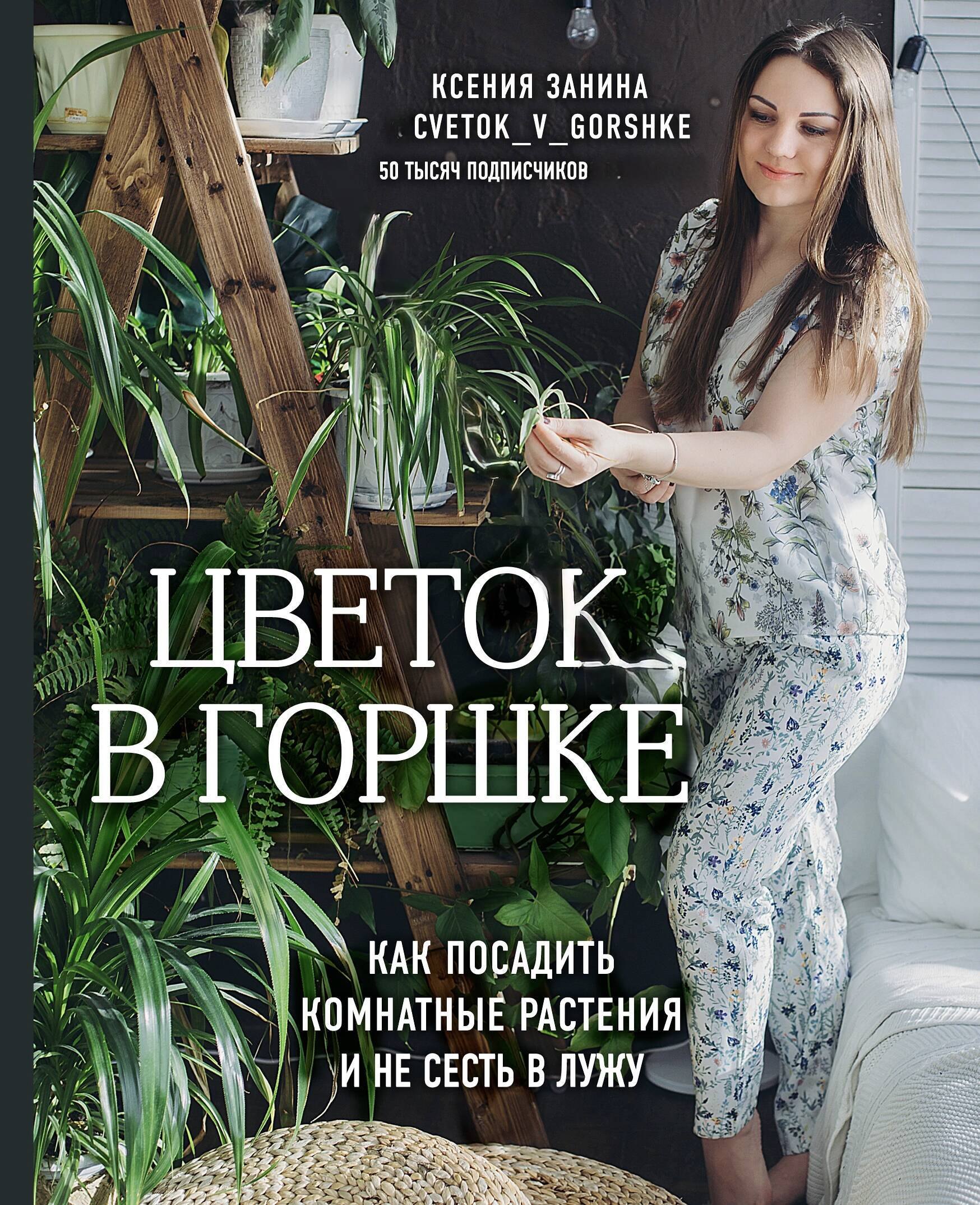 

Цветок в горшке. Как посадить комнатные растения и не сесть в лужу