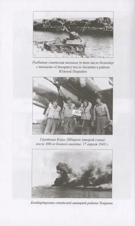 Книга Битва за небо Кубани. 1943 г. (Дмитрий Зубов, Сергей Богатырев, Дмитрий Дегтев) — 3