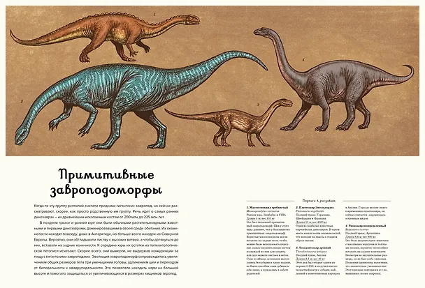 Книга Динозавриум (Кейти Скотт, Лили Маррей, Джейми Брун) — 10