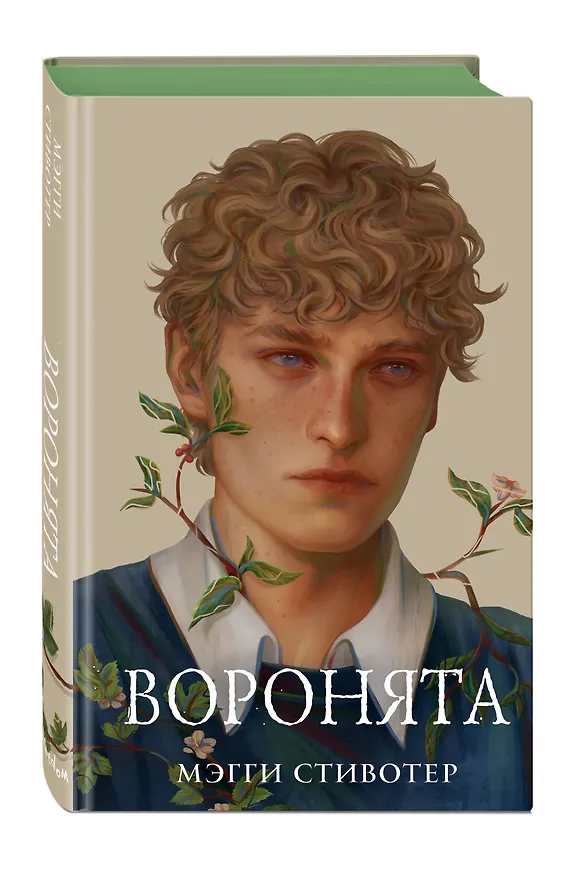 Книга Вороновый круг. Воронята (#1) (подарочное оформление) (Мэгги Стивотер) — 5