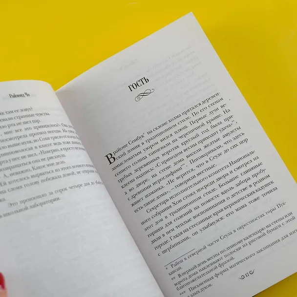 Книга Юная шаманка Пом (Раймонд Чо) — 9