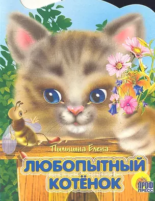 Любопытный котенок — 2315337 — 1