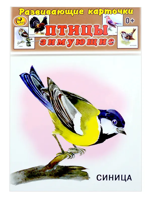 Книга Развивающие карточки Птицы зимующие (0+) (13 карточек) () — 1