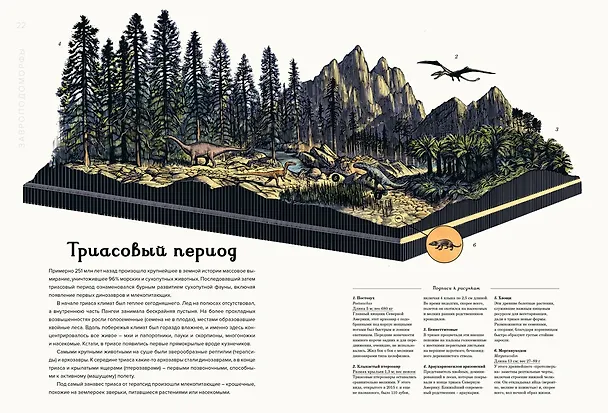 Книга Динозавриум (Кейти Скотт, Лили Маррей, Джейми Брун) — 11