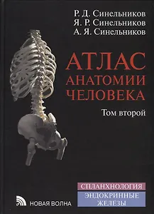 Атлас анатомии человека. В 4-х томах. Том 2. Учение о внутренностях и эндокринных железах