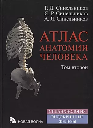 Атлас анатомии человека. В 4-х томах. Том 2. Учение о внутренностях и эндокринных железах — 2644743 — 1