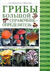 Книга Грибы : большой справочник-определитель (Александр Матанцев)