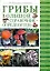 Грибы : большой справочник-определитель — 2206774 — 1