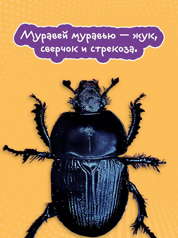 Книга Жизнь насекомых (Виктор Пелевин) — 10