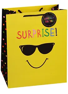 Пакет подарочный бумажный А4 "Cool guy", нейтральный