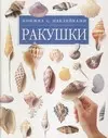 Ракушки: Книга с наклейками — 1517702 — 1