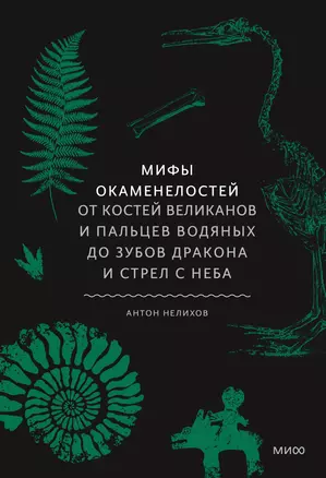 Мифы окаменелостей. От костей великанов и пальцев водяных до зубов дракона и стрел с неба — 3028005 — 1