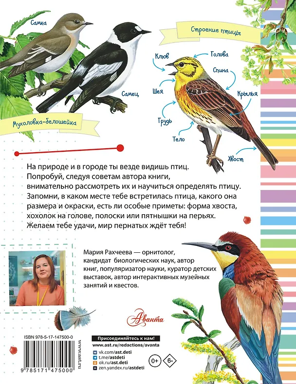 Книга Птицы (Мария Рахчеева) — 2