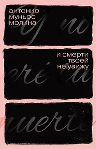 И смерти твоей не увижу: роман
