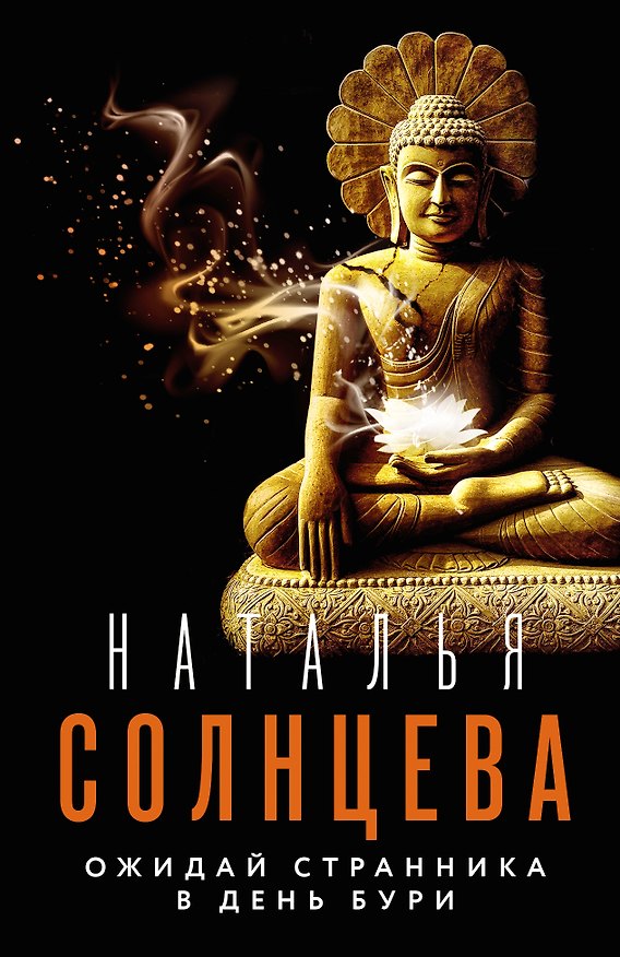 Книга Ожидай странника в день бури (Наталья Солнцева) — 1