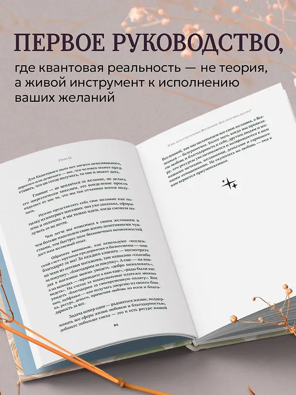 Книга Можно все, или Как создавать желаемое. Квантовые практики достижения успеха (Анна Бравая) — 6