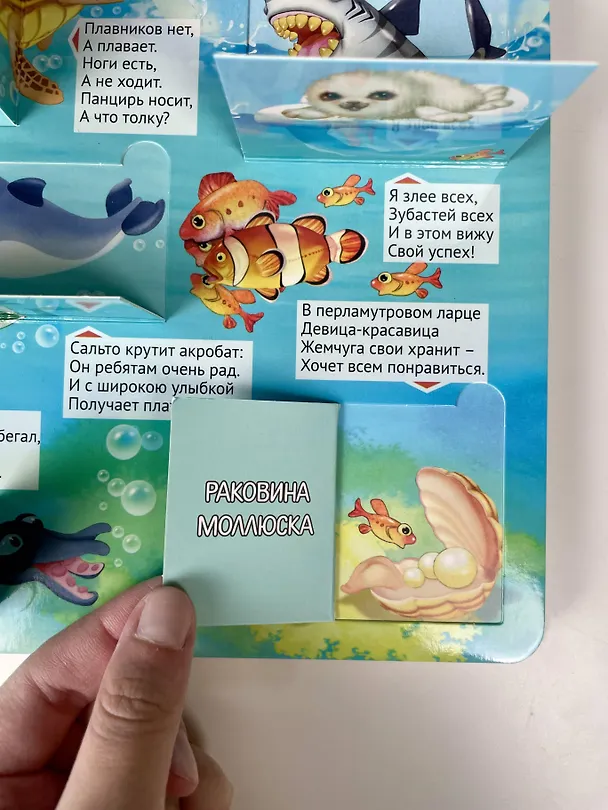 Книга Большая книга загадок с окошками () — 16