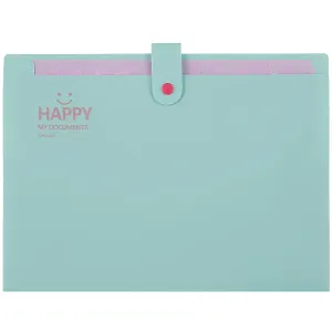 Папка на кнопке А4 12отд., ассорти