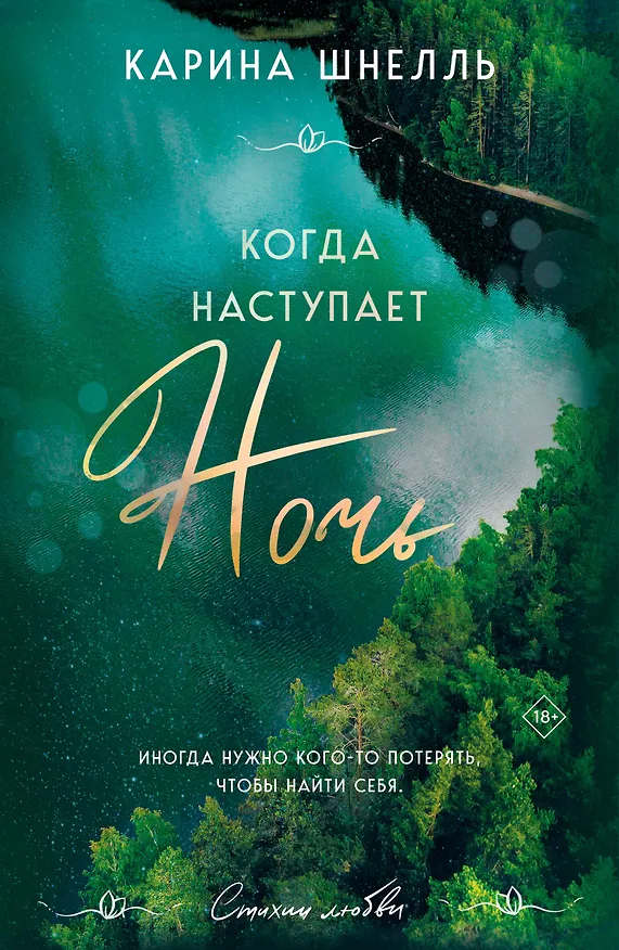 Книга Когда наступает ночь (Карина Шнелль) — 1