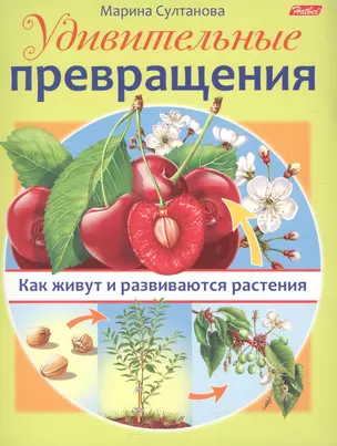 Удивительные превращения. Как живут и развиваются растения — 2591890 — 1