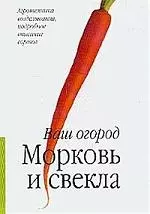 Морковь и свекла — 1904717 — 1