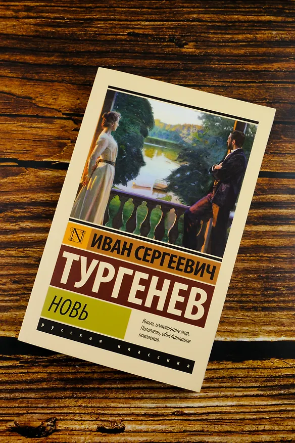 Книга Новь (Иван Тургенев) — 6