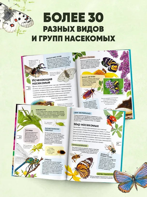 Книга Насекомые () — 6
